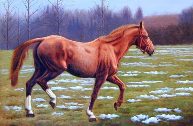 欧式古典动物玄关客厅书房办公室挂画装饰画骏马 美坊画师 手工油画 笔触细腻